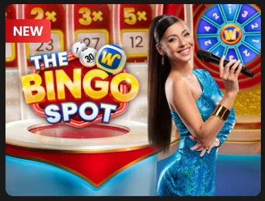 Bingo Spot